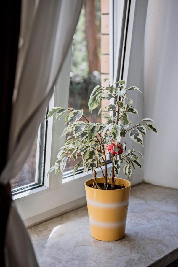 Pension Bertha Γιένα Εξωτερικό φωτογραφία